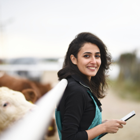 Evenementen voor kalverhouders | Eveal